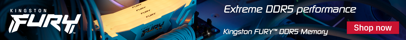 Kingston Fury DDR5